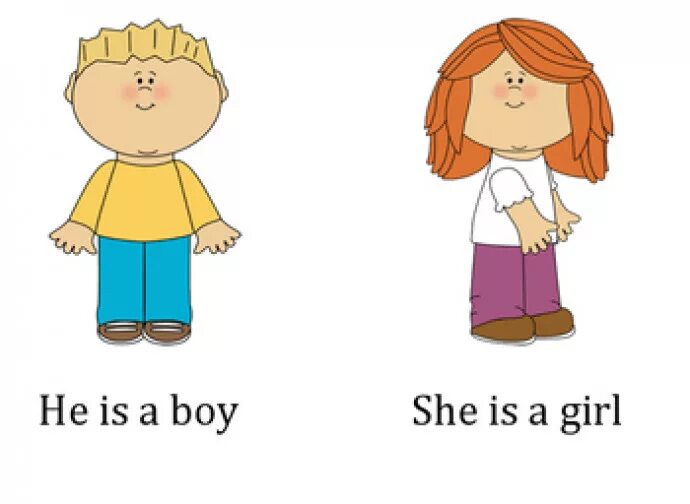 How is the girl what s. He she для детей. He she Flashcards. He she картинки. Girl карточка для детей англ.
