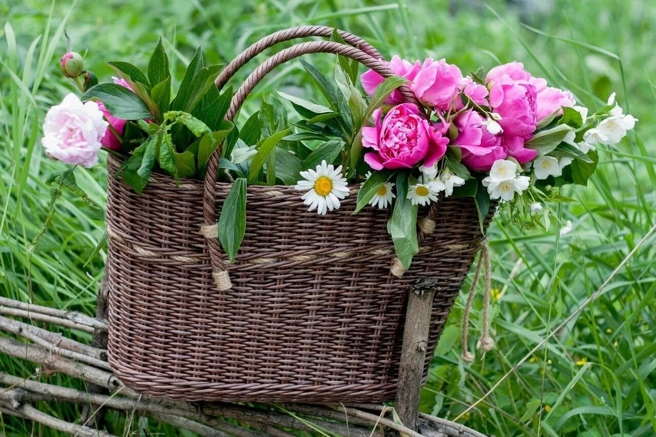 Корзинка с травами. Корзинка цветов. Красивая корзинка. Полевые цветы в корзинке. Одуванчики в корзине.