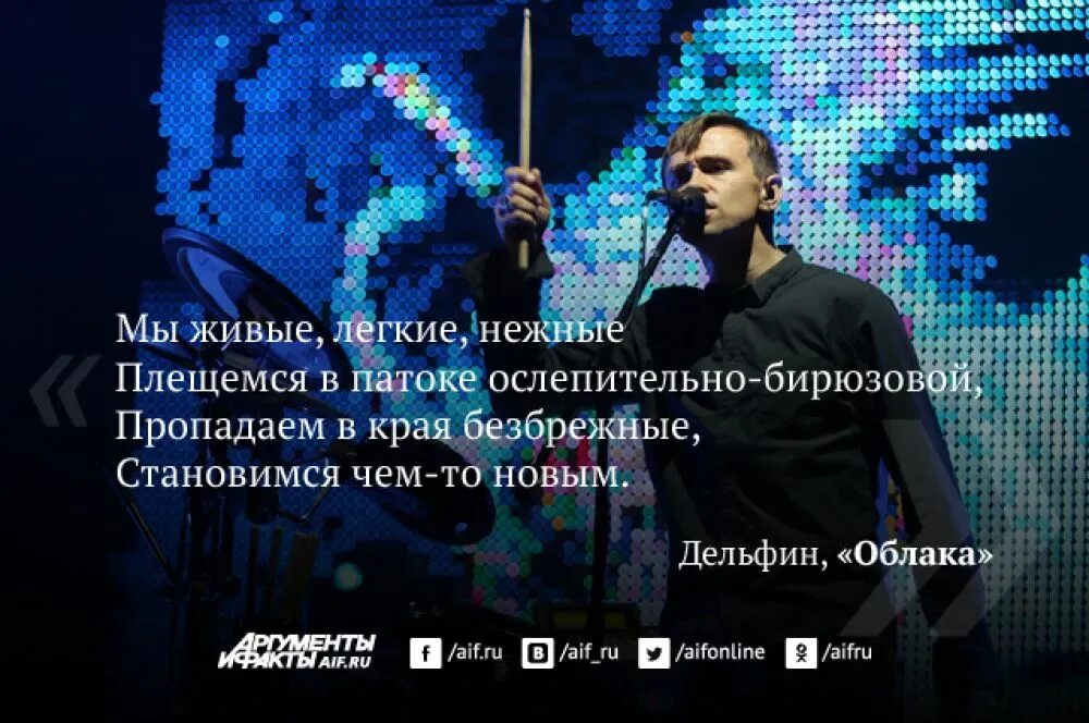 Песня дельфин мы обязательно встретимся. Цитаты про дельфинов. цитаты дельфина. дельфин певец. дельфины цитаты.