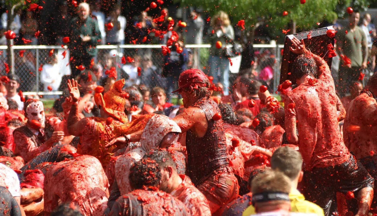 Битва томатов (la Tomatina) - Испания. Битва томатами - фестиваль la Tomatina. Помидорная битва в Испании. Фестиваль томатов ла Томатина в Испании. Кидает помидор