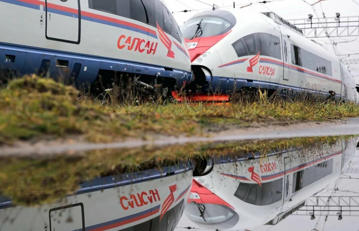 Ржд сапсан спб. Сапсан поезд. Скоростной поезд Сапсан. Поезд Сапсан Нижний Новгород. Скоростной электропоезд Сапсан.