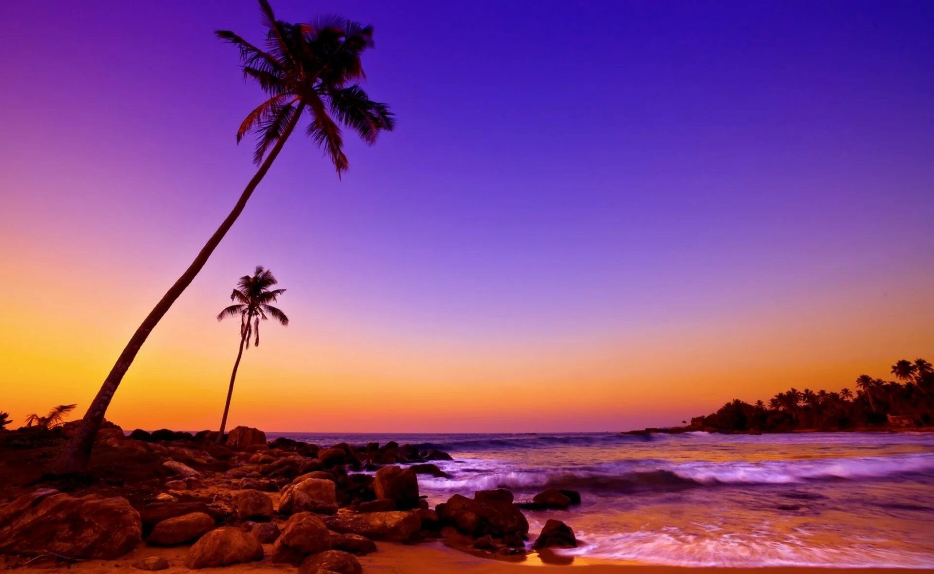 Шри солнце. Шри Ланка океан. Индийский океан Шри Ланка. Шри Ланка океан пальмы. Шри Ланка Атлантический океан.