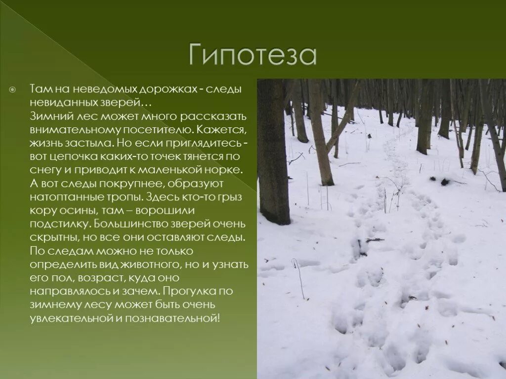 Там следы. Презентация на тему следы зверей. Следы на снегу. О чем рассказывают следы на снегу. Презентация по следам животных.