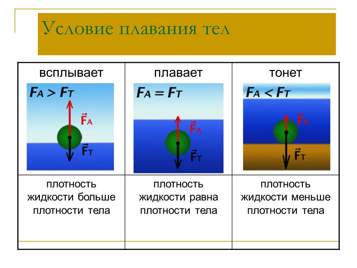 Тело некоторой плотности находится в жидкости. Закон Архимеда условия плавания тел. Архимедова сила условия плавания тел 7 класс. Физика условие плавания тела в жидкости. Условия плавания тел чертеж.