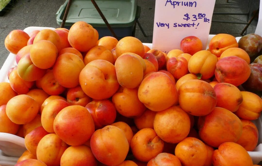 Free Images : apple, fruit, food, produce, california, saturday, farmersmarket, 