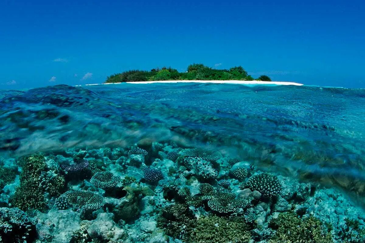 Известный остров омывается водами самого большого океана. Риф Фоттейо Мальдивы. Барьерный риф Мальдивы. Мальдивы Лагуна риф. Риф Нингалу Австралия.