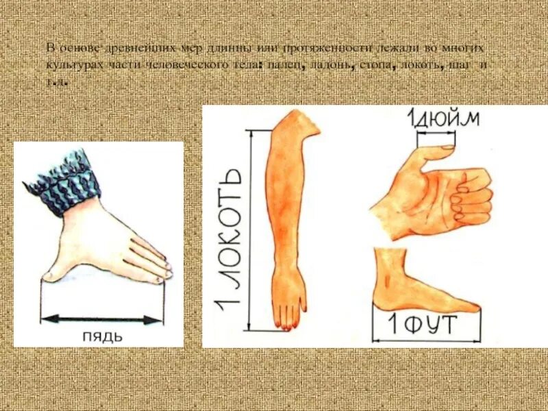 Метрология в древности. Метрология древние меры. Локоть (единица длины). Метрология на Руси. Основы древнего времени