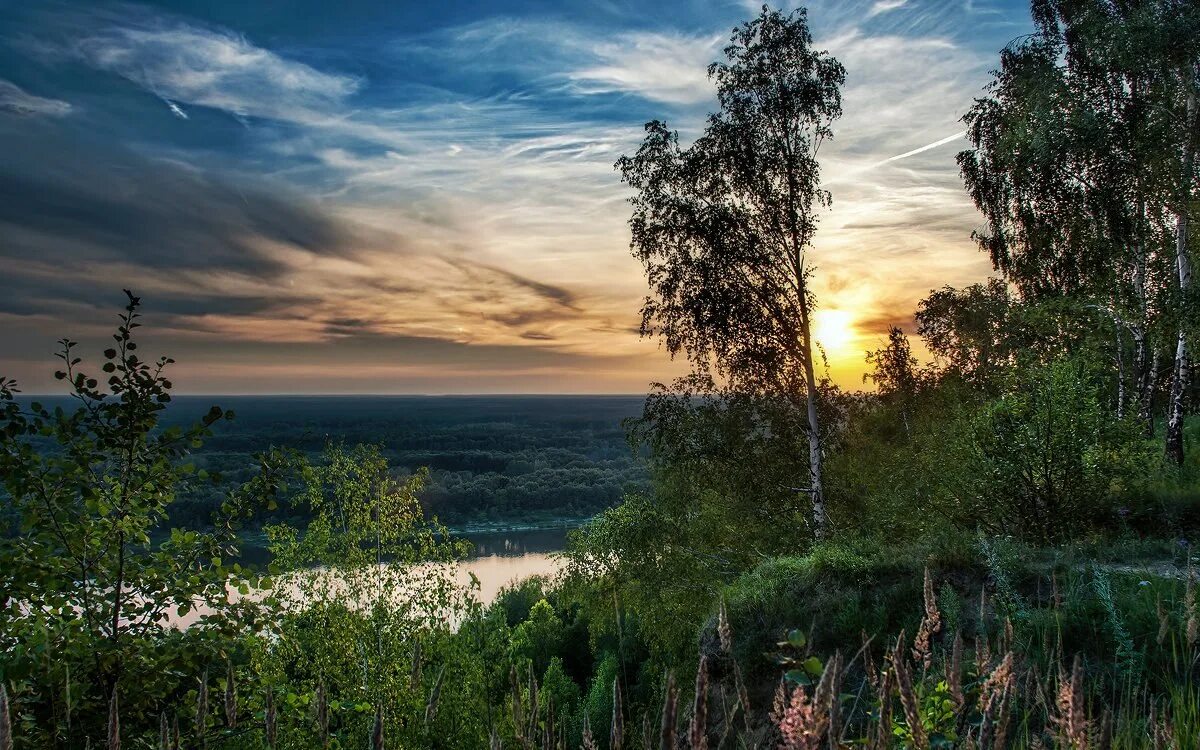 Перемиловы горы жайск. Турбаза перемиловы горы. Перемиловы горы нижегородская область. Река ока перемиловские горы. Дмитриевы горы ока.