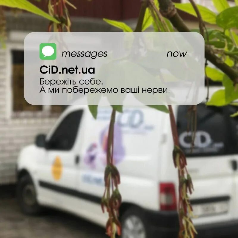 Cid эмблема. Идентификатор cid. Ansha. Cid net. Саша кинг.