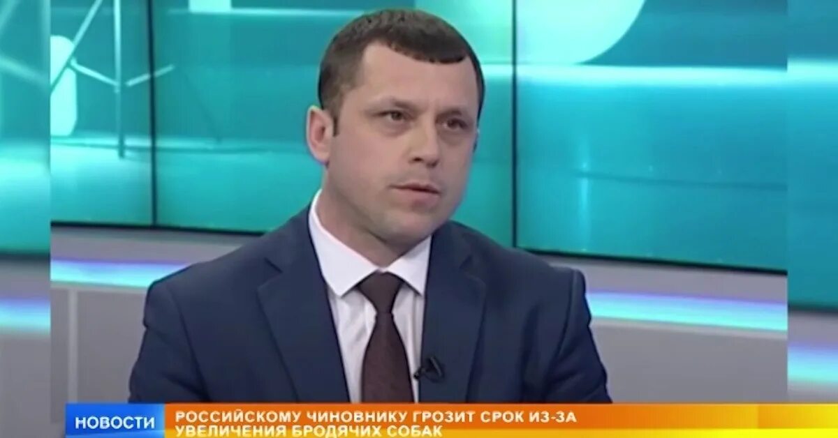 Ren tv news. РЕН ТВ. УДИБ Красноярск руководитель. Журналисты РЕН ТВ.