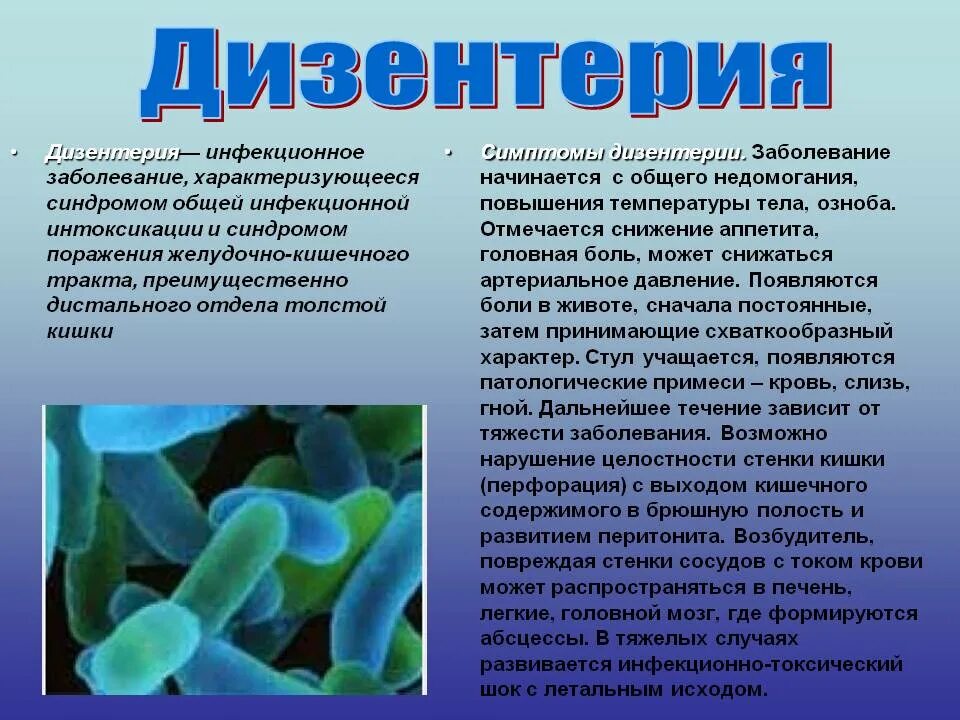 Дизентерия симптомы. Дизентерия вызывается бактериями. шигеллы дизентерия симптомы. кишечная палочка дизентерия. дизентерия – инфекционная болезнь, вызываемая бактериями.