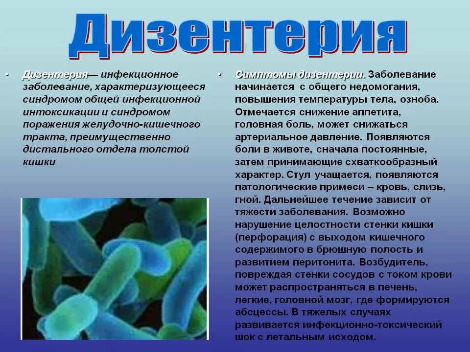 Ботулизм сальмонеллез. Кишечные инфекции дизентерия. Шигеллез кишечная инфекция. Возбудители бактериальных кишечных инфекций дизентерии. Дизентерийная инфекция симптомы.