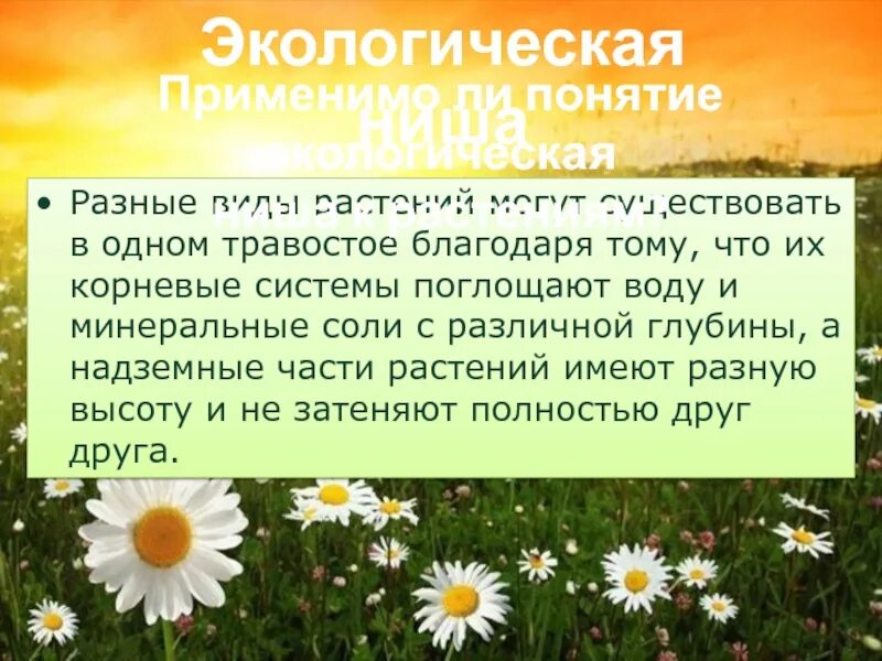 2 хорошо известных организма опишите экологическую нишу. Изучение экологической ниши у разных видов растений. Изучение экологических ниш разных видов растений. Экологические ниши различных видов растений. Вывод экологической ниши.