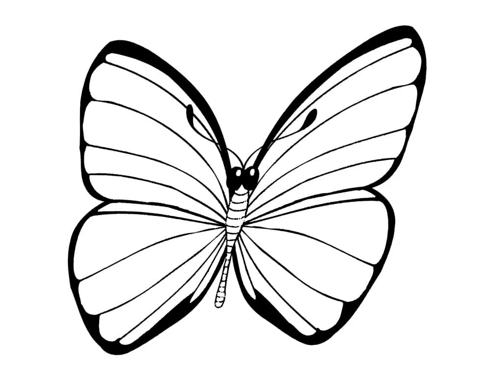 Черно белые картинки для детей раскраска. Раскраска "бабочки". Бабочка раскраска для детей. Бабочка раскраска для малышей. Бабочка рисунок.