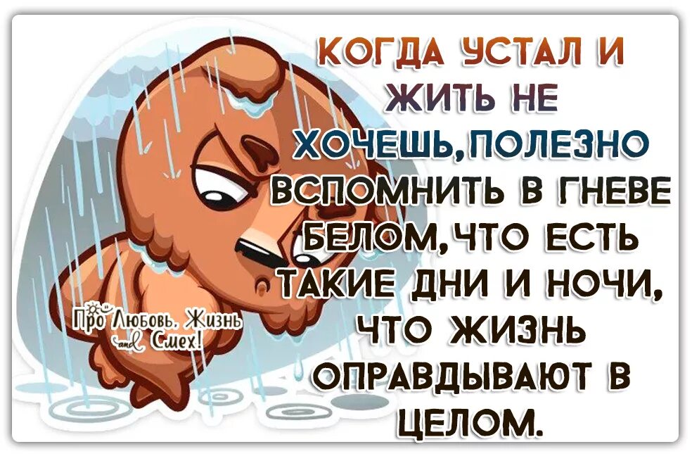 Хочется быть полезным. Я устала от жизни. Устал жить. Когда устал жить что делать. Я устал жить.