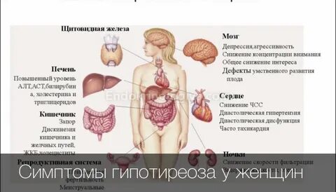 Что нельзя при щитовидке у женщин