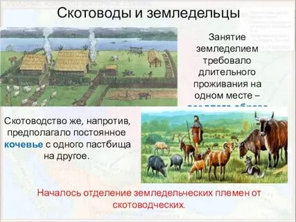 Переход к кочевому скотоводству