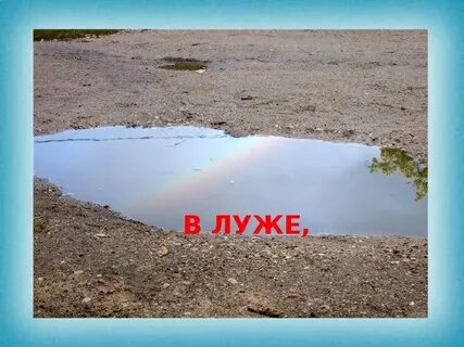 Лужа перевод