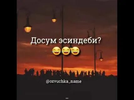 Бир досум