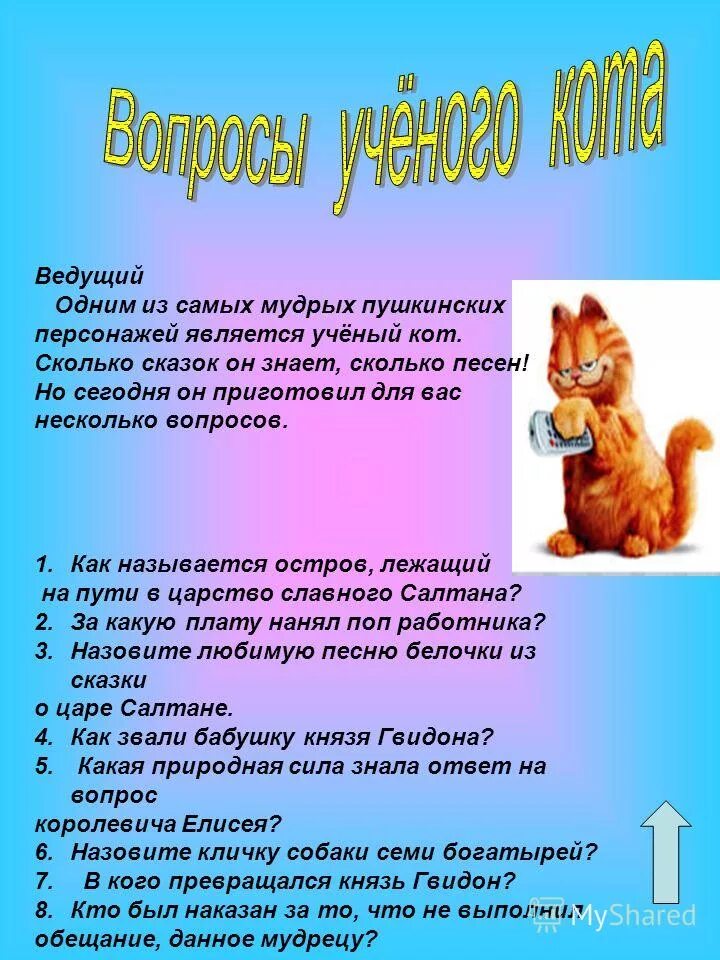 коты вопрос ответ. кот задается вопросом. кот вопрос. коты вопрос ответ. вопросы про кошек для викторины.