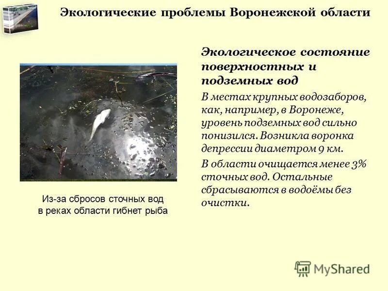 Экологические проблемы вороне. Экология воронежа. Экологические проблемы воронежской области. Какие проблемы в воронеже. Экологическая ситуация в воронежской области.