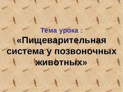 Питание и пищеварение позвоночных животных 8 класс