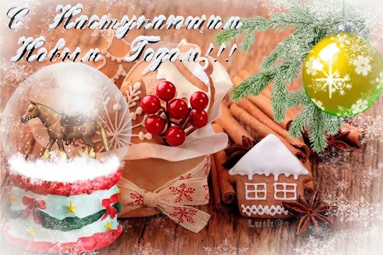 с добрым зи ним утром вторникп. с первым вторником. поздравление с последним вторником уходящего года. веселые открытки. поздравления со вторником.