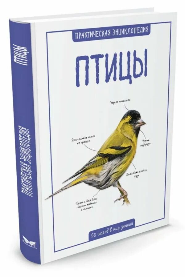 Читать книгу птичка