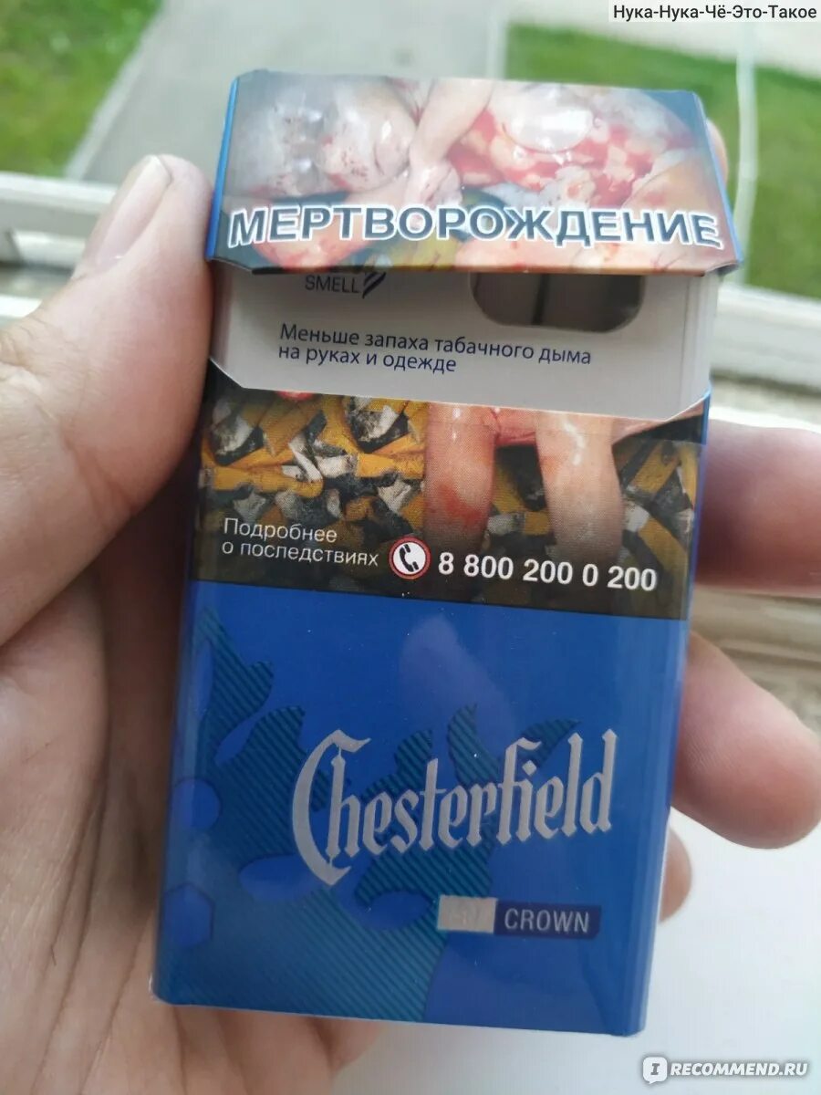 Честерфилд компакт синий. Сигареты Честер компакт синий. Сигареты Chesterfield Compact Blue. Честер сигареты Честер компакт. Сигареты Честер Блю (Chesterfield Blue/.