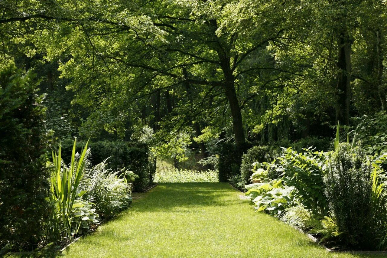 Зелен сад 30. Гарденс Грин зеленый сад. Красивый зеленый парк. Сад теней. Фон сад.