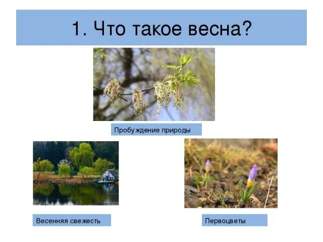 Сообщение на тему Весеннее Пробуждение природы. Пробуждение природы весной презентация. Весенние изменения в природе 2 класс. Окружающий мир 2 класс весеннее пробуждение