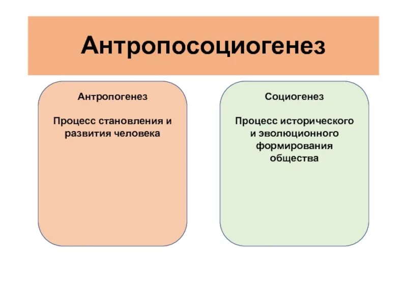 Что такое социогенез. Человек как личность в системе социогенеза. личность в социогенезе психология. отличие социогенеза от антропогенеза. антропосоциогенез природное и общественное в человеке.