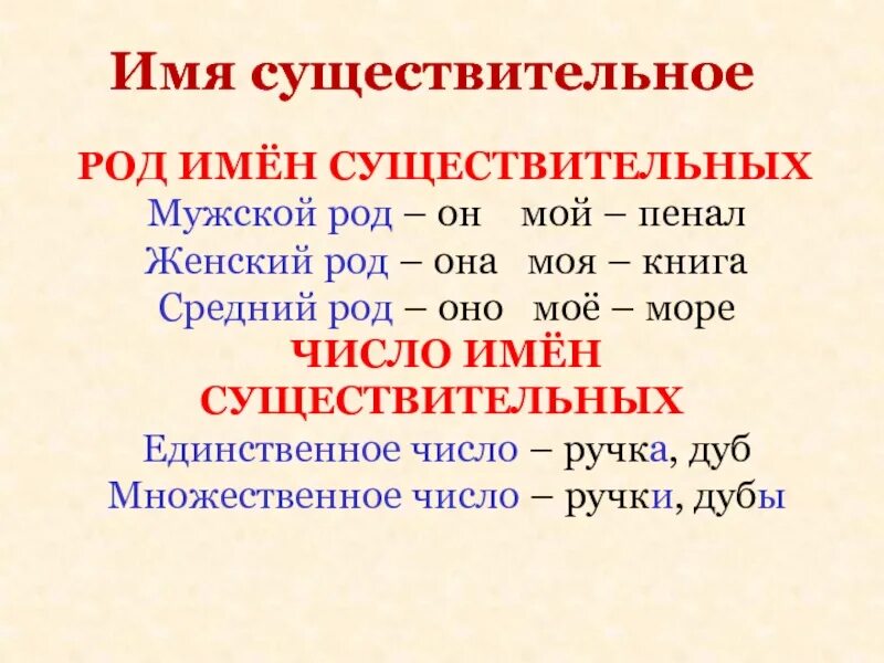 Род число падеж существительных. Имя существительное род число падеж существительных. Имя существительное род число падеж склонение. Род число падеж имен существительных 5 класс. Имена существительные род склонение число падеж.