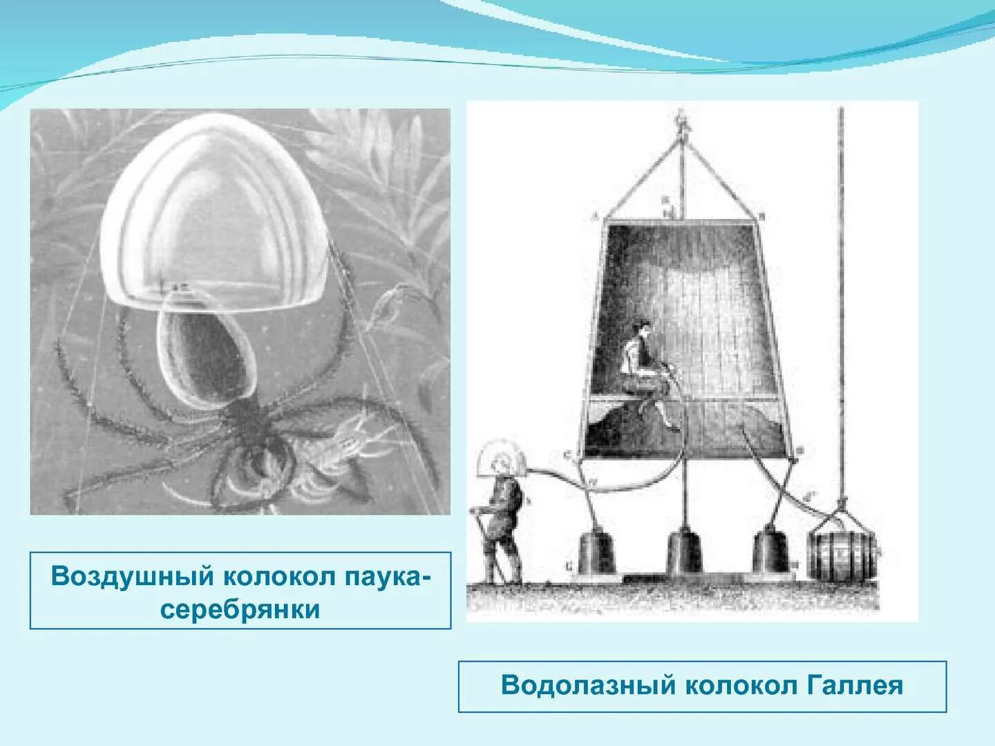 Колокол воздушного насоса. Шар под колоколом воздушного насоса. Колокол насоса воздушного насоса. Заряженный электроскоп под колоколом воздушного насоса. Шарик под колоколом воздушного насоса.