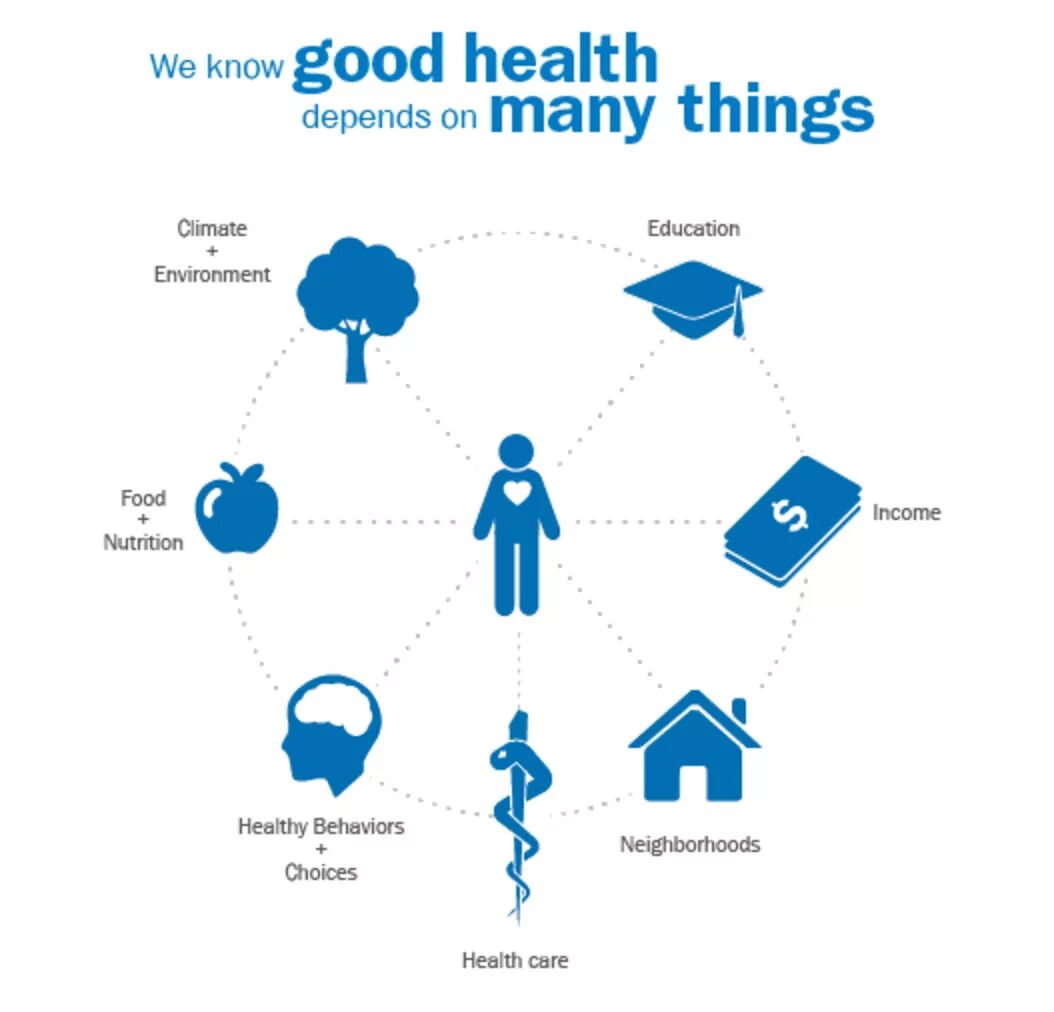 Health communication. Importance of health medicines. Health presentation. Information system components. Sociology and health.