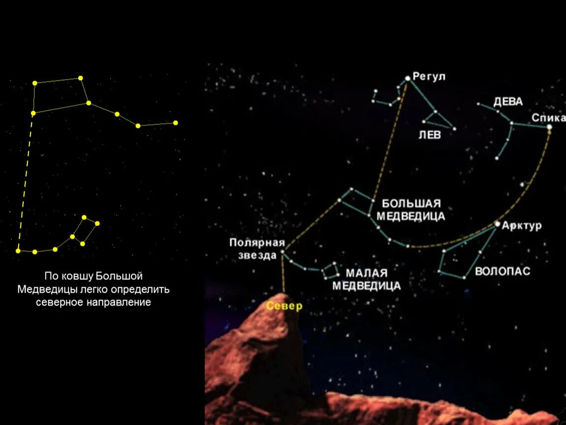 Расстояние от созвездий. Малая Медведица название звезд. Звезды малой медведицы названия. Медведица расположение звезд. Большая Медведица малая Медведица Созвездие Волопаса.