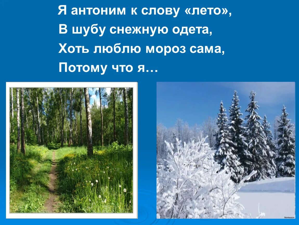 Антонимы к слову лето. Антонимы к слову снег. Антоним к слову лета. Синонимы и антонимы к слову снег. Антоним к слову цветы