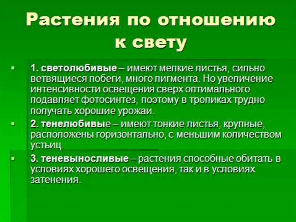 Большие имеют мелких. Растения по отношению к освещенности. Влияние света на фотосинтез. Влияние факторов среды на фотосинтез. Свет экологический фактор.