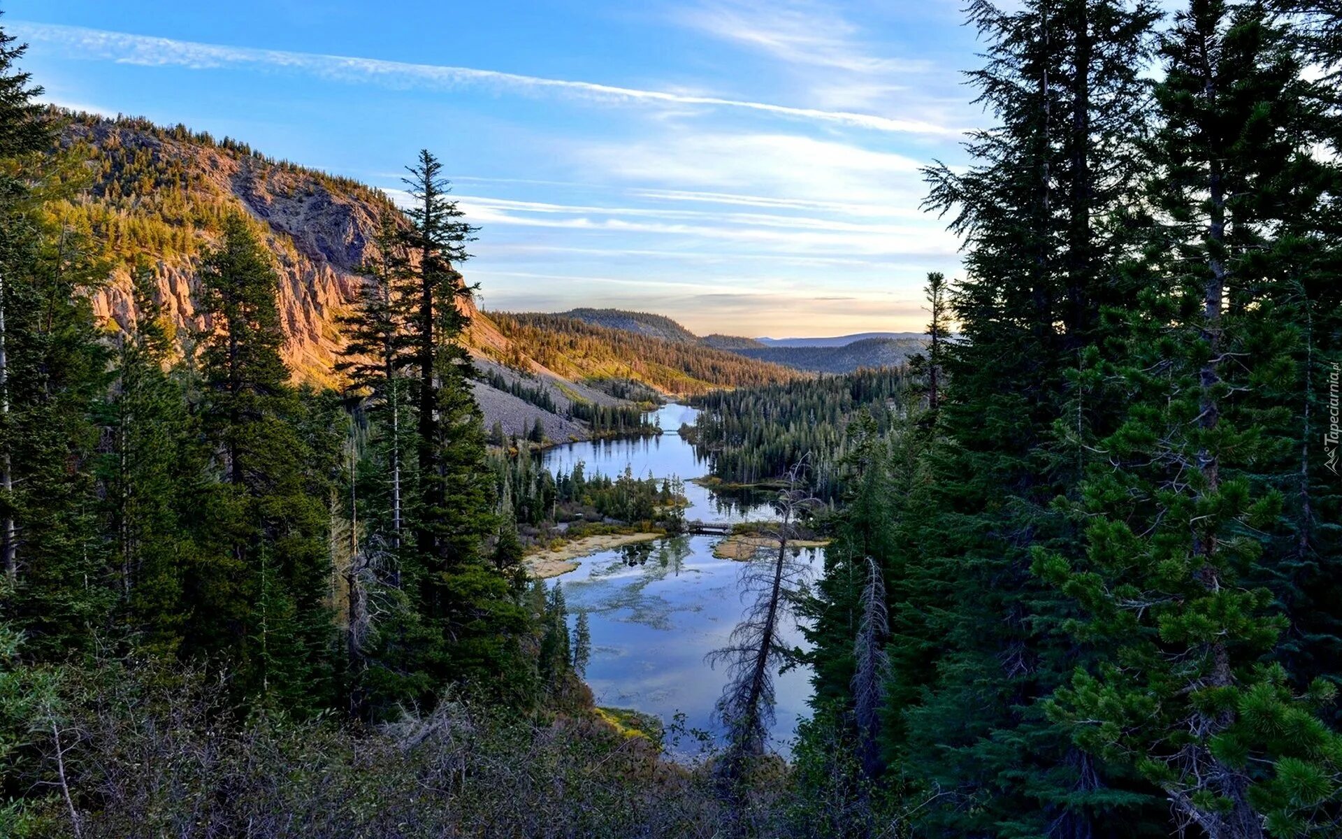 леса урала сибири. горная тайга северного урала. горная тайга южный урал. леса урала сибири. северово восточная сибирь природа.