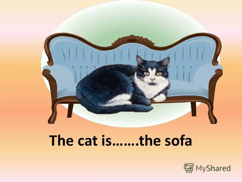 The Cat is on the Chair. The Cat is the Armchair. Cat behind the Sofa. The cat is the chair