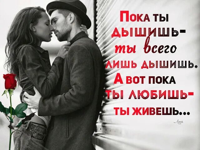 Я вдыхаю этот воздух. Пока ты дышишь ты живешь. Живу тобой дышу тобой. Я дышу тобой. Пока любимая.