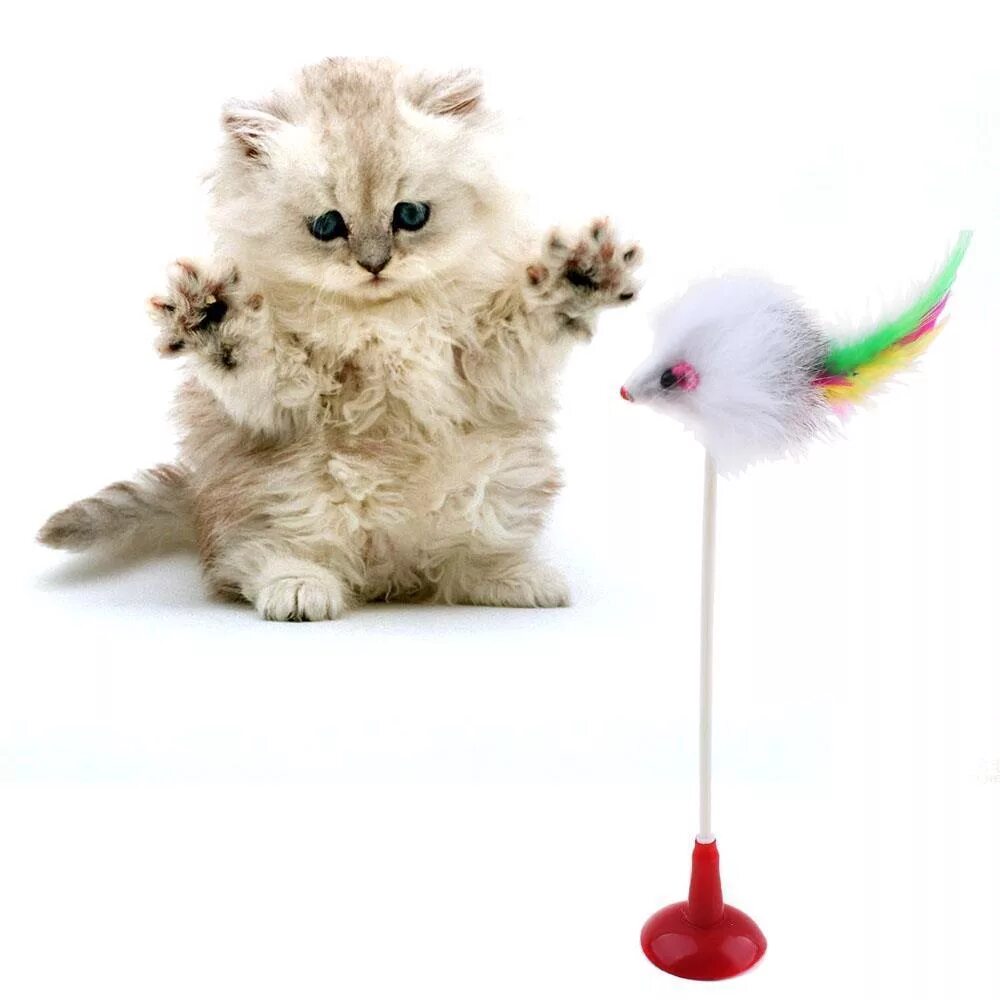 Рыжая кошка игрушка. Котенок hasbro furreal. Игрушки для маленьких котиков. Игрушка для кошек и котят. Игрушка «котенок».