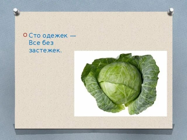 Загадку 100 одежек. Сто одежек без застежек. сто одежек, и все без застежек. загадка сто одежек без застежек. что одёжек и все без застёжек.