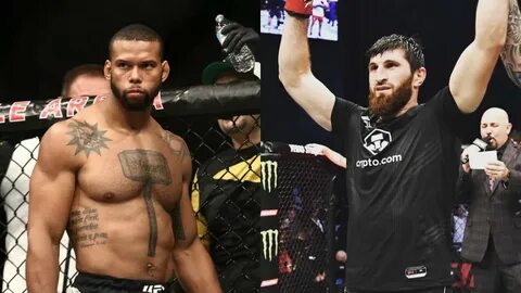 Ufc анкалаев прямой эфир