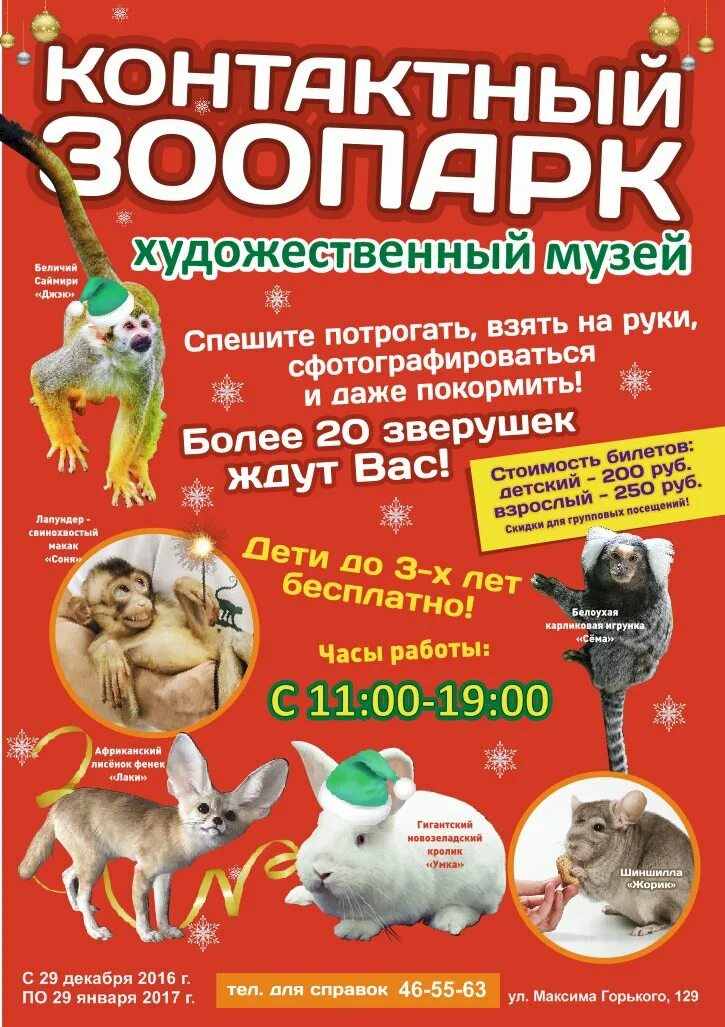 Выставка зоопарк животных. Плакат контактного зоопарка. контактный зоопарк курган. выставка животных. контактный зоопарк афиша.