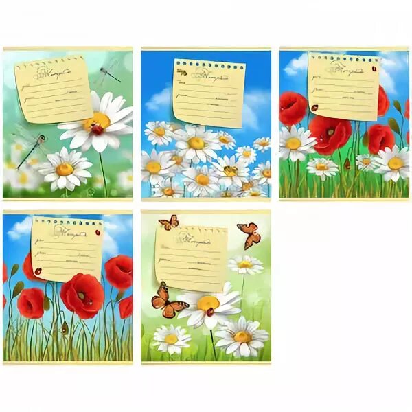 Тетрадь раз ступенька 2 ступенька петерсон холина. Раз тетрадь два тетрадь. Раз тетрадь два тетрадь. Петерсон холина раз ступенька два ступенька 6-7 лет 2 часть. Рабочие тетради для детей 3-4 лет.