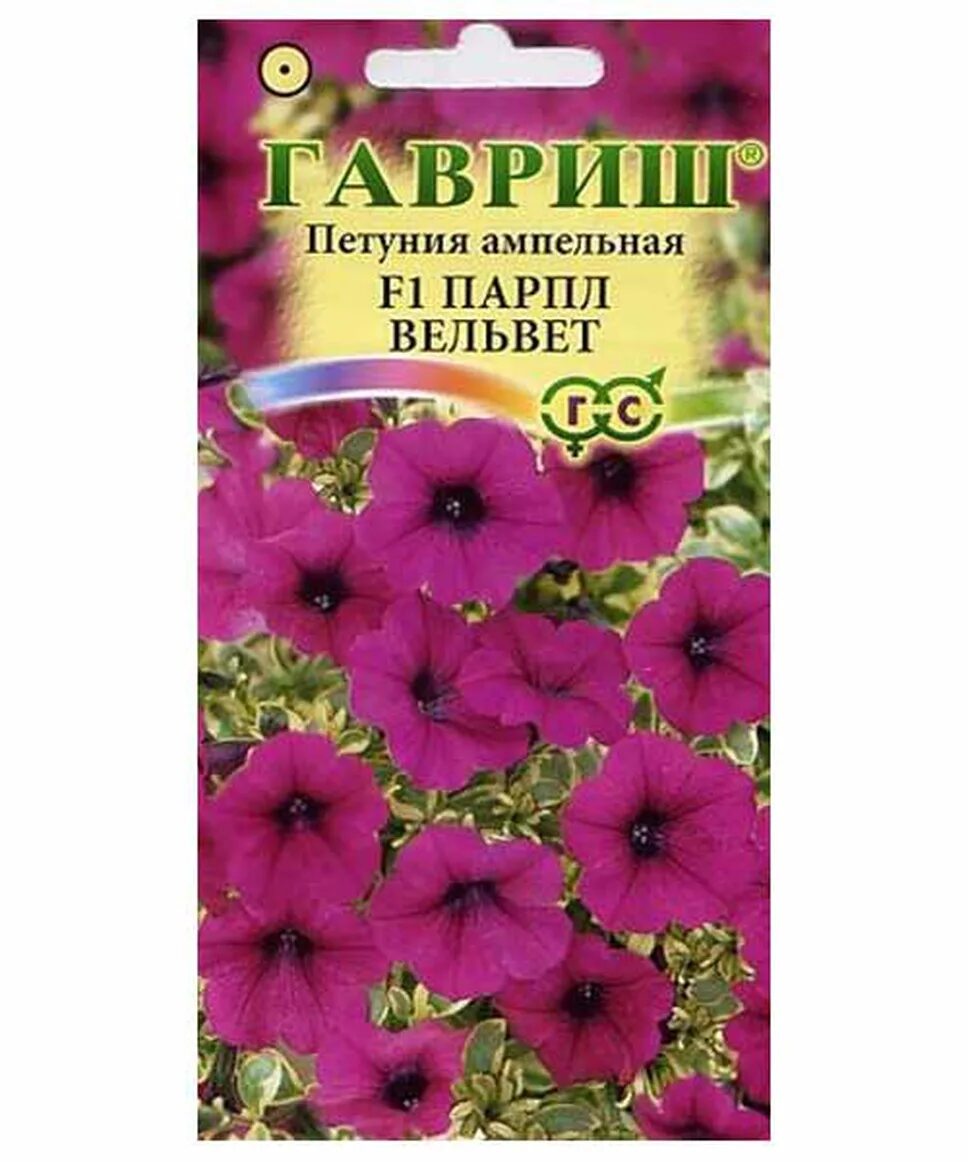 Петуния мультифлора carpet. Петуния вельвет описание. Петуния роуз вейн вельвет. Петуния вельвет f1. Петуния грандифлора хулахуп вельвет.