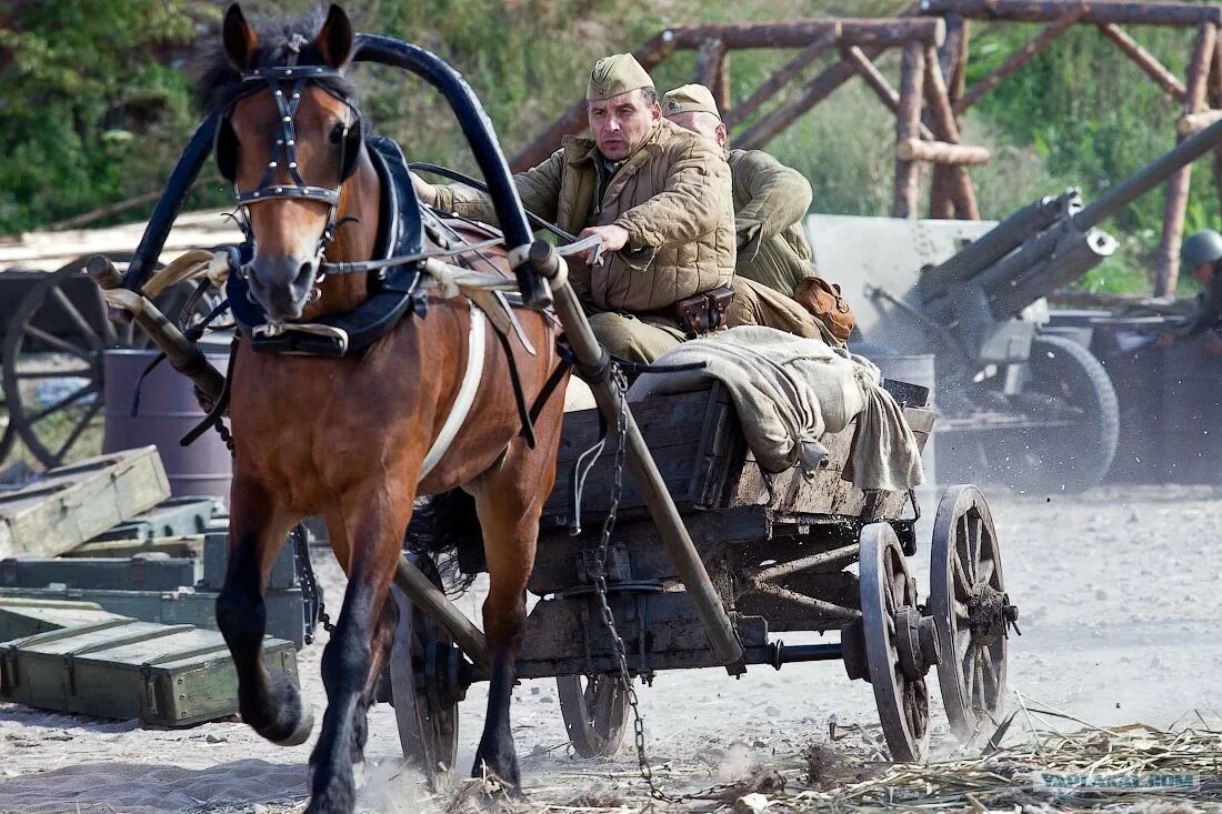 Военная телега. Военные повозки. Военный конь. Тачанка пулемёт. Лошадь с повозкой Военная.