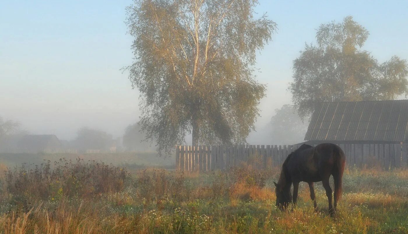 Хорошо ночами за околицу выходить. Рассветный туман на Каменке. Суздаль.. Утро в деревне. Туманное утро в деревне. Осень в деревне.
