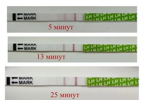Тест 5 минут